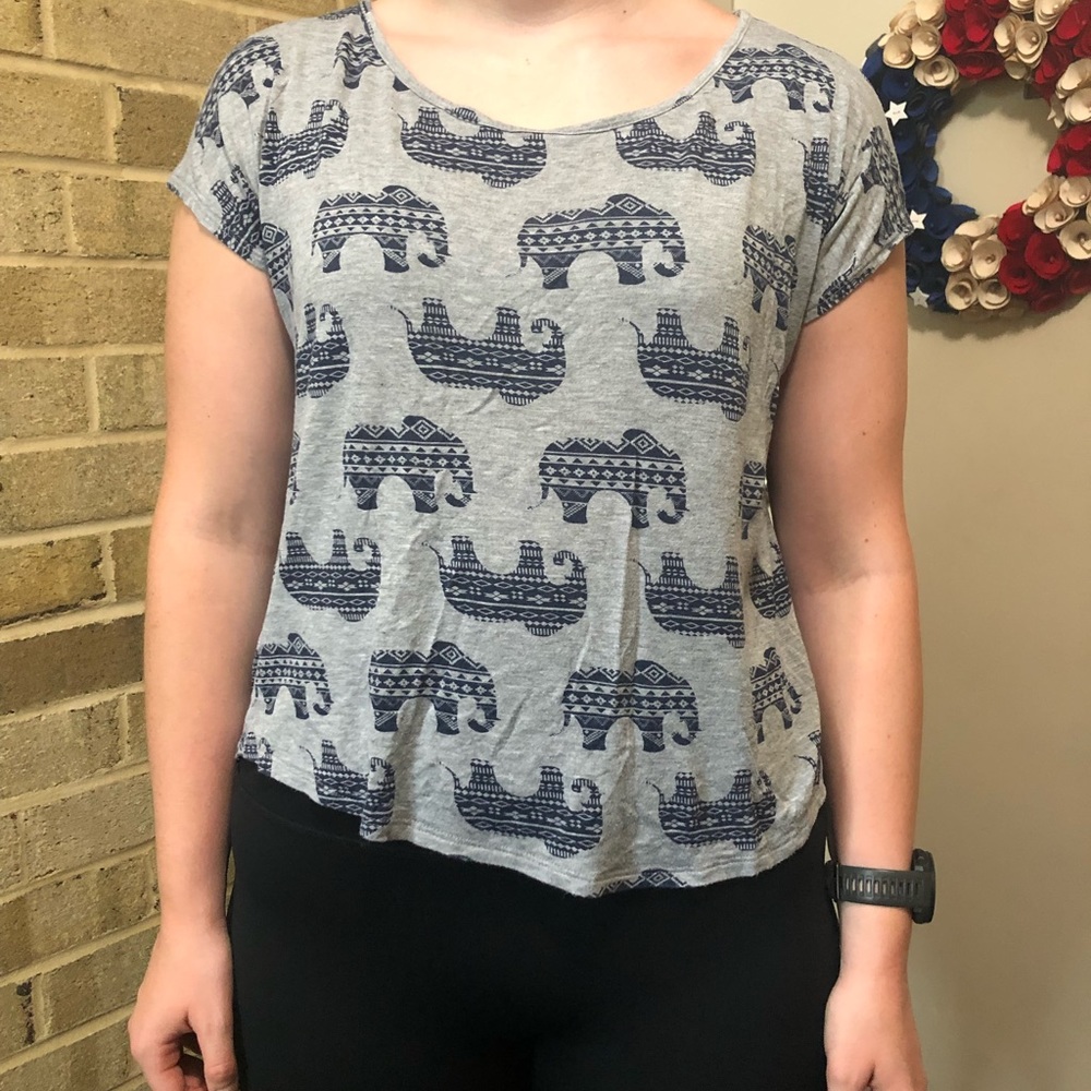 Gray Crop Top Bundle-Blue Strip and Elephant Print